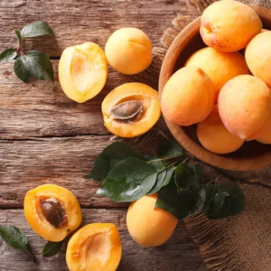 APRICOT